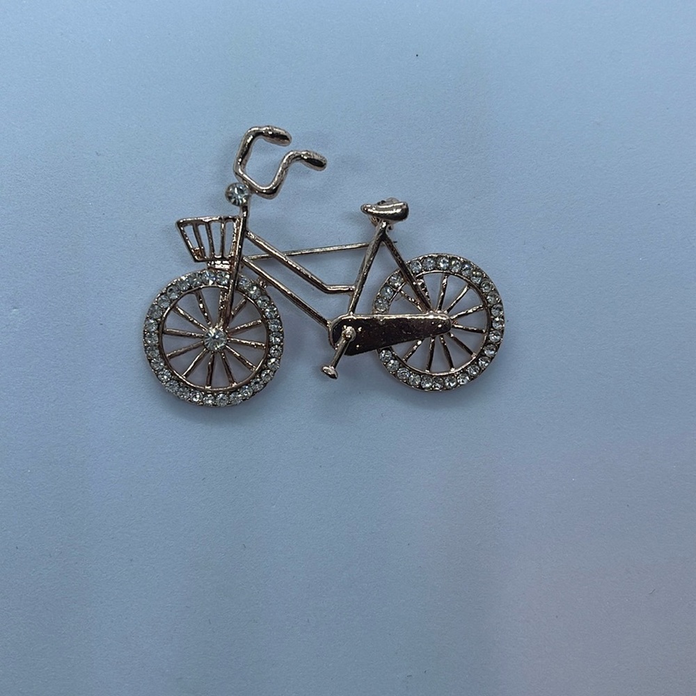 Brooch Pins